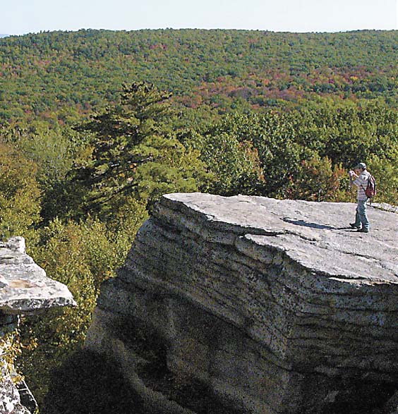 Photo courtesy of Mohonk Preserve
