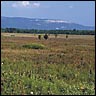 Shawangunk National Grasslands